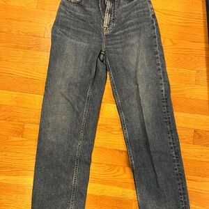 Everlane Curvy Way High Jean Size 23